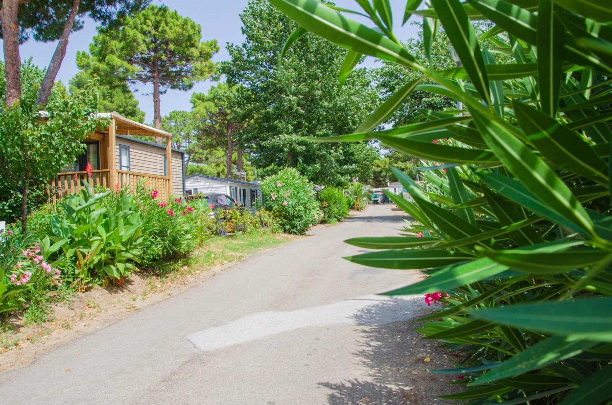 Le Grau-dʼAgde Camping Les Jardins D Agathe מראה חיצוני תמונה